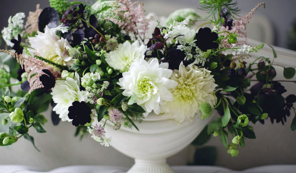 Flower White